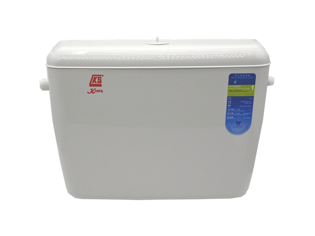 W.C. Flushing Sensor Cistern with Manual