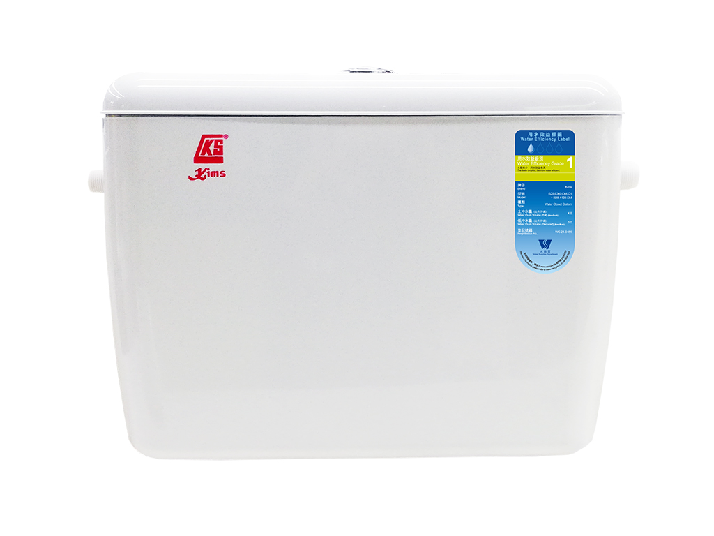 Dual flush sensor cistern with manual button